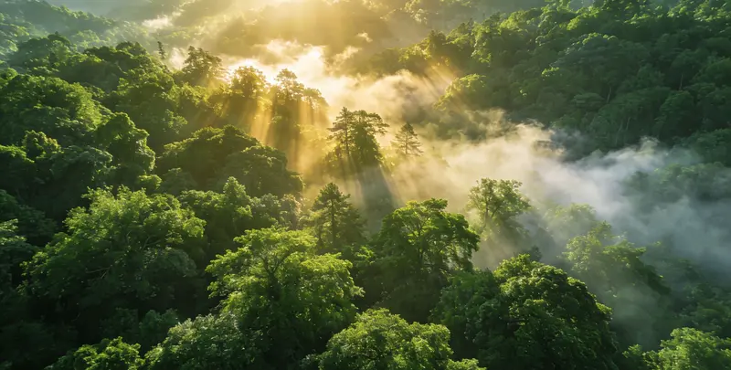 宿迁肺癌靶向120基因检测（组织）图片1