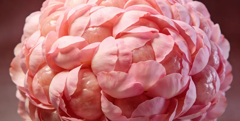 宿迁BRCA1/2乳腺癌卵巢癌基因检测图片1